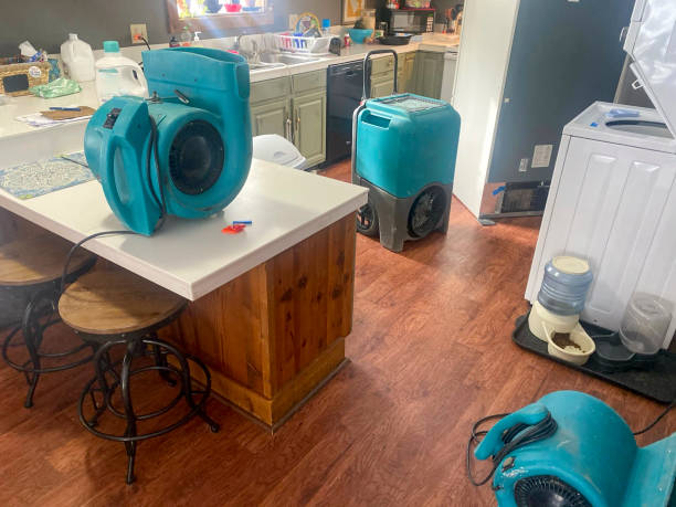 Best Water damage mitigation services  in Manchester, MI