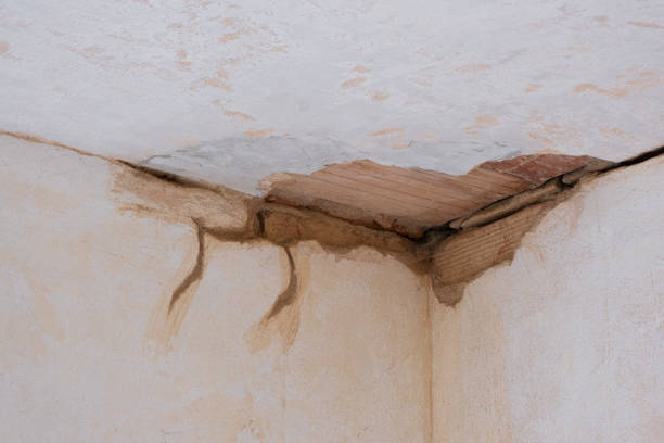  Manchester, MI Water damage restoration Pros