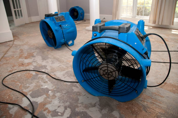 Best Water damage contractors near me  in Manchester, MI