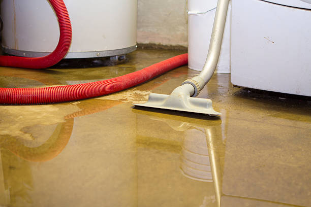 Best Flooded house restoration  in Manchester, MI