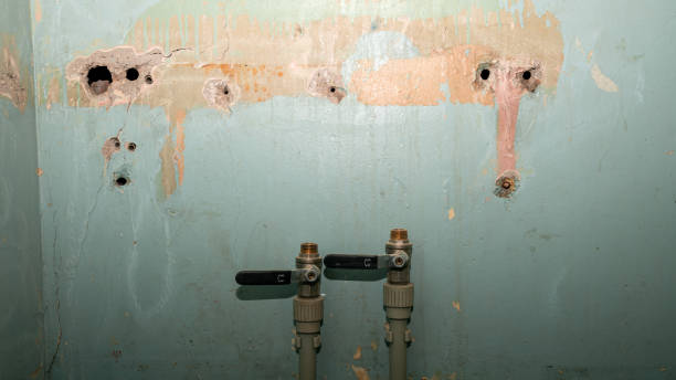 Best Flooded house restoration  in Manchester, MI