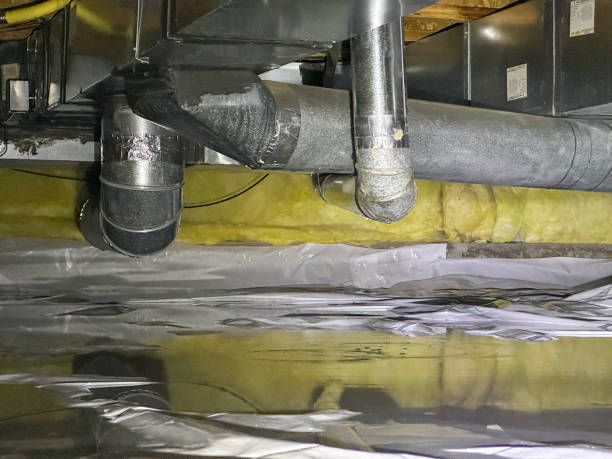 Best Professional water damage repair  in Manchester, MI