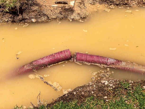 Best Emergency water damage restoration  in Manchester, MI
