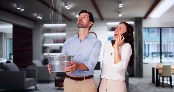 Best Flood restoration services  in Manchester, MI