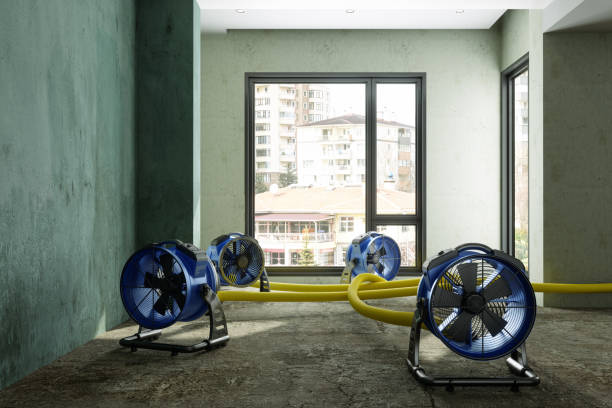 Best Commercial water damage restoration  in Manchester, MI